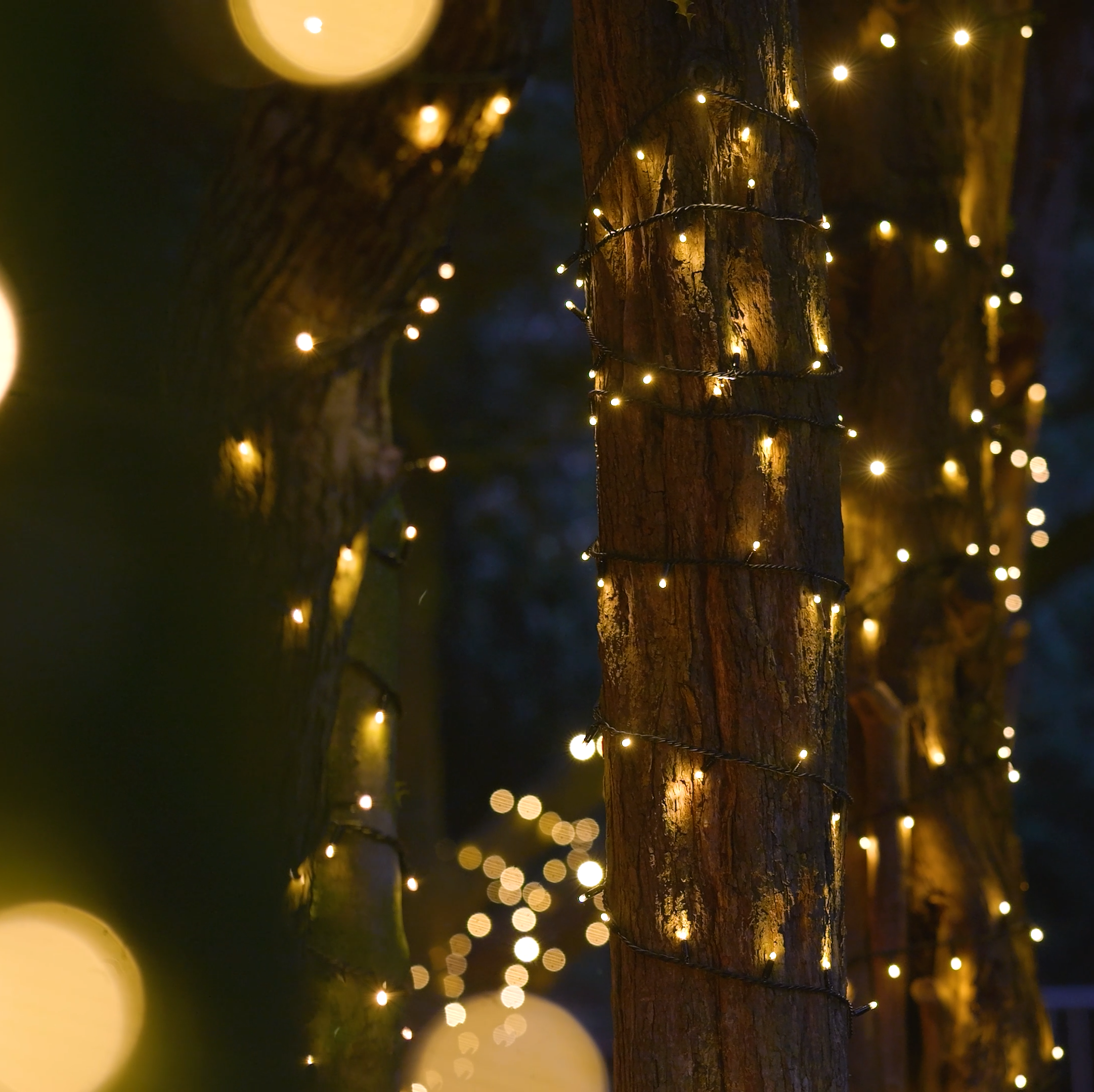 Penkridge Christmas Light Trail